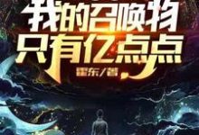 免费看网游:我的召唤物只有亿点点小说的网站有哪些?-美文小说