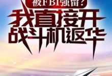 被FBI强留?我直接开战斗机返华!小说有没有完整的免费版本在线阅读?-美文小说