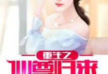 叶飞是哪本书的主角?寻找重生之仙尊归来免费阅读-美文小说