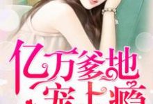 亿万爹地宠上瘾这本小说在哪里可以看？哪里有免费试读章节？-美文小说