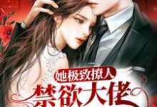 顾南舟沈喻小说在线章节免费阅读(她极致撩人,禁欲大佬清醒沦陷无弹窗无删减)-美文小说