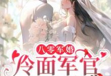 八零军婚:冷面军官甜蜜爱小说免费资源,八零军婚:冷面军官甜蜜爱在线阅读-美文小说
