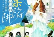 免费看总裁的温柔陷阱小说的网站有哪些?-美文小说