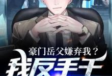 小说《豪门岳父嫌弃我?我反手干个一等功》章节免费阅读-美文小说