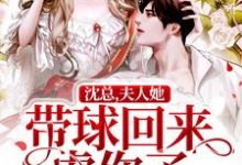 沈总,夫人她带球回来虐你了小说的免费阅读版本在哪里可以找到?-美文小说