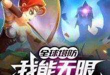 全球塔防:我能无限建造和升级小说,全球塔防:我能无限建造和升级最新章节-美文小说