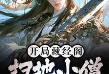 免费看开局藏经阁扫地小僧,我无敌了小说的网站有哪些?-美文小说