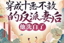 寻找穿成十恶不赦的反派妻后,他洗白了小说的最新更新章节-美文小说