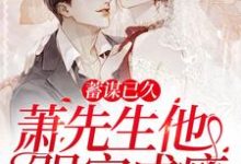 小说《蓄谋已久,萧先生他强宠成瘾》章节免费阅读-美文小说