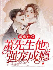 小说《蓄谋已久，萧先生他强宠成瘾》章节免费阅读