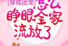 求穿成团宠,怎么睁眼全家流放了?小说免费资源-美文小说