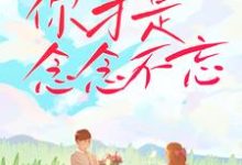 你才是念念不忘最新章节,你才是念念不忘免费阅读-美文小说