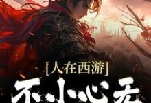 免费看人在西游,不小心无敌三界了小说的网站有哪些?-美文小说