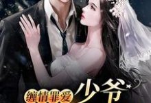 男女主人公叫苏绵绵谢与淮的小说免费资源-美文小说