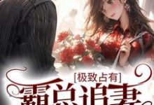 陆子睿肖翎朵为主角的小说好看吗?免费读极致占有:霸总追妻也很甜-美文小说