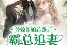 完结版《替嫁新娘跑路后,霸总追妻火葬场了》章节阅读-美文小说