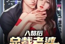 入赘后,总裁老婆心爱白月光肖南沈叶,入赘后,总裁老婆心爱白月光章节在线阅读-美文小说