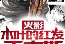 香克斯鸣人为主角的小说火影:木叶的红发香克斯在线阅读-美文小说