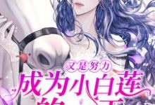 又是努力成为小白莲的一天小说有没有完整的免费版本在线阅读?-美文小说