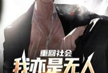 重回社会，我亦是无人敢得罪的存在小说，重回社会，我亦是无人敢得罪的存在最新章节-美文小说