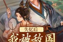 失忆后:我被敌国侯爷捡到了小说,失忆后:我被敌国侯爷捡到了最新章节-美文小说