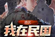 秦天小说叫什么(潜伏:我在民国当间谍免费阅读)-美文小说