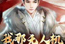 小说《我那无人机轰炸倭寇》在线章节阅读-美文小说