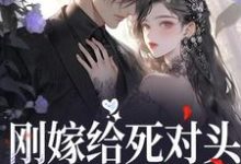 寻找能够免费阅读刚嫁给死对头,他就骗我生崽小说的平台-美文小说