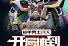 铠甲勇士刑天:开局抽到修罗铠甲夏飞杨欢迎小说在线章节免费阅读-美文小说