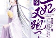 王爷,王妃又跑了小说全文阅读需要付费吗?寻找免费资源-美文小说