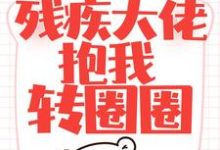 男女主人公沈易欢傅蓦擎小说闪婚后,残疾大佬抱我转圈圈章节免费阅读-美文小说