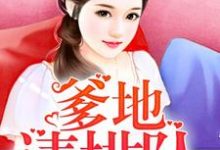 萌宝三只:爹地请排队小说的所有章节都能在哪里免费读到?-美文小说