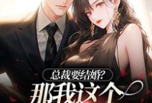 免费在线阅读总裁要结婚?那我这个小情人怎么办小说的正规网站有哪些?-美文小说