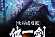 快穿成反派,他一剑独断万古小说全文阅读需要付费吗?寻找免费资源-美文小说