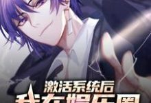 小说《激活系统后,我在娱乐圈扶摇直上》在线章节阅读-美文小说
