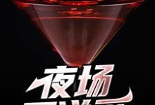 夜场不说爱小说的无弹窗阅读体验,寻找免费阅读网站-美文小说