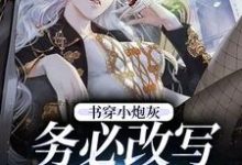 完整版的书穿小炮灰,务必改写好结局小说在哪里可以免费读到?-美文小说