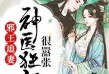 小说《邪王追妻：神医狂妃很嚣张》章节免费阅读-美文小说