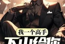 小说《我一个高手,下山给你当保镖?》在线章节阅读-美文小说