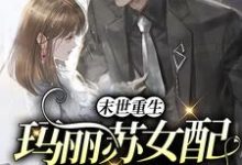 末世重生：玛丽苏女配反向逆袭免费阅读，末世重生：玛丽苏女配反向逆袭叶瑾顾景政-美文小说