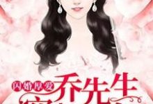 小说《闪婚厚爱,乔先生穷追不舍》在线章节阅读-美文小说