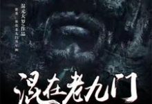 哪里能找到盗墓:混在老九门当军阀小说的最新更新和免费章节?-美文小说