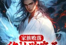 家族败落,你让败家子力揽狂澜?小说的无弹窗阅读体验,寻找免费阅读网站-美文小说