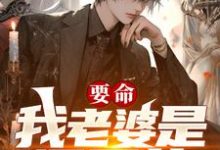 《要命!我老婆是混黑的?》全集免费在线阅读(沈浪夏舒)-美文小说