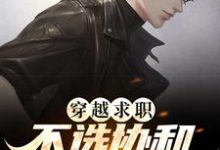 《穿越求职!不选协和,我选轧钢厂》全集免费在线阅读(林绍文秦淮茹)-美文小说