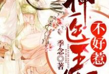 完整版的神医王妃不好惹小说在哪里可以免费读到？-美文小说