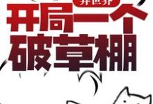 异世界:开局一个破草棚小说,异世界:开局一个破草棚白小林-美文小说