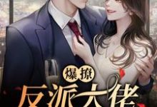 想读陆峥野林妤笙的故事,哪里可以免费找到爆撩!反派大佬别太爱?-美文小说