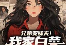 完结版《兄弟变妹夫!我家白菜被猪拱了》免费阅读-美文小说