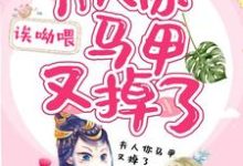 完结版《夫人你马甲又掉了》免费阅读-美文小说